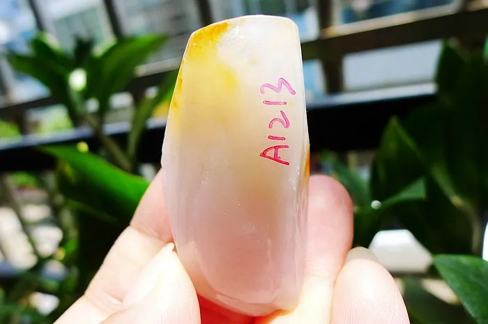 Natural Jade Rough Jadeite Raw (25g,5X2.7X1.4cm)