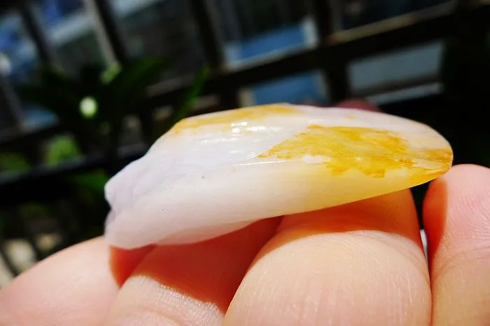Natural Jade Rough Jadeite Raw (25g,5X2.7X1.4cm)