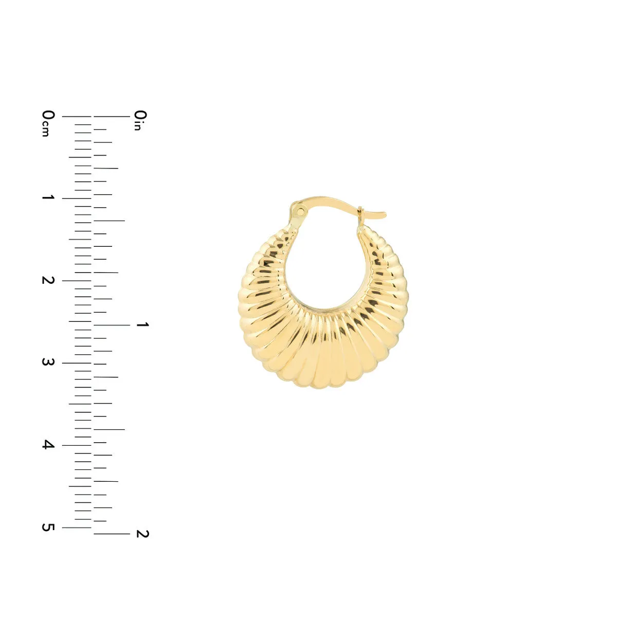 Shrimp Hoop Earrings - 14K Yellow Gold Hinge Back - by Dazyle