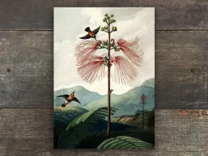 The Tree of Flowers